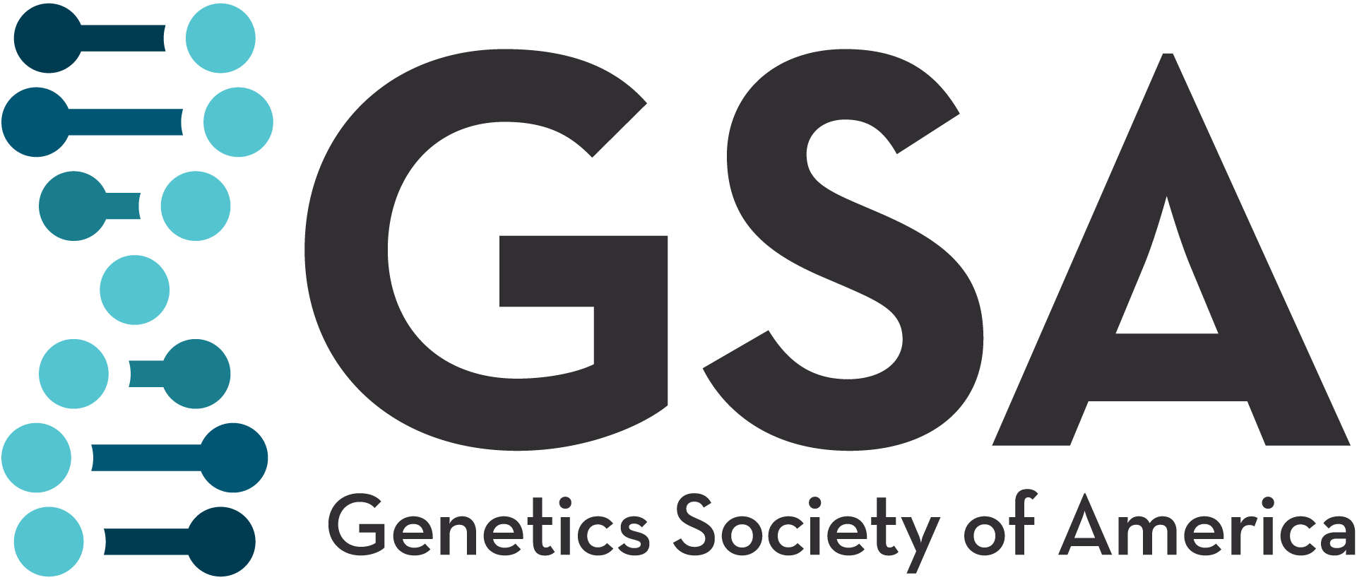 GSA XL Logo