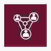 icons-network2-maroon.png